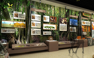 西安大型展览服务商 专业展览服务的全方位指南